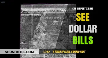 X-ray Vision: Can Airport Scanners See Dollar Bills?