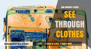 Airport X-rays: Can They See Through Clothes?