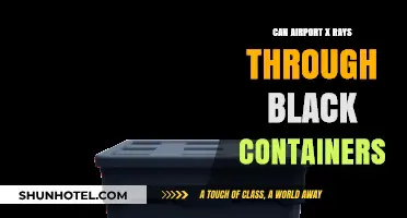 X-ray Vision: Black Containers at Airports