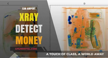 X-ray Vision: Can Airport Scanners Detect Cash?