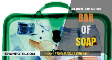 Airport Security: Can X-rays See Through Soap?