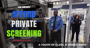 Airports: Private Screening, Cost or Necessity?