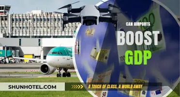 Airports: Economic Engines or Money-Pit?