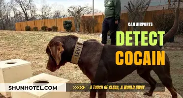 Cocaine Detection: Airport Security Secrets Revealed