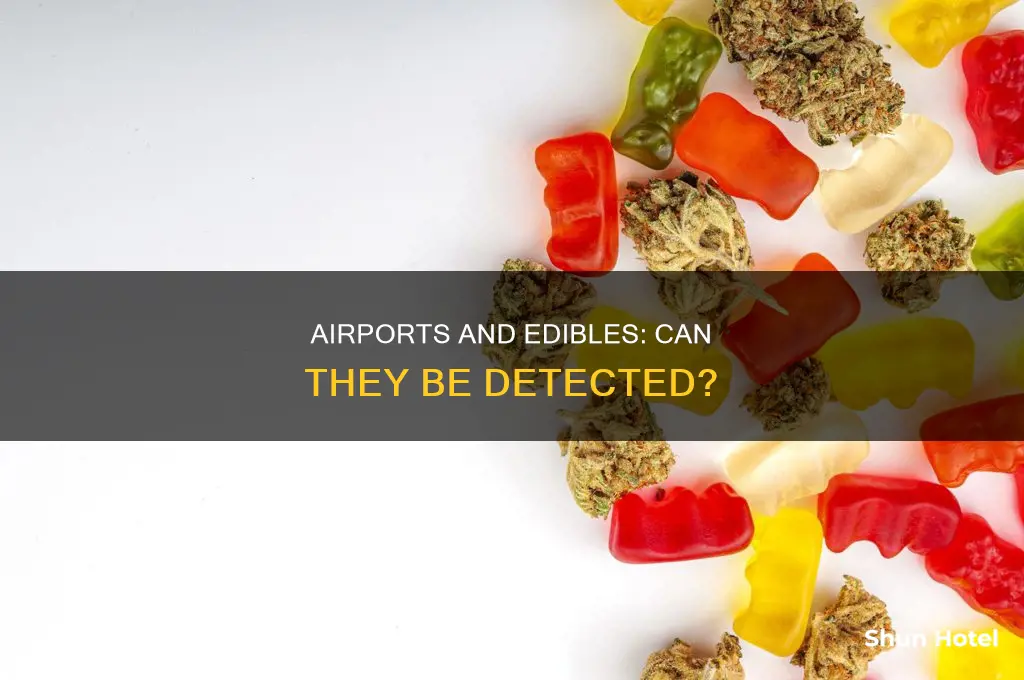 can airports detect edibles