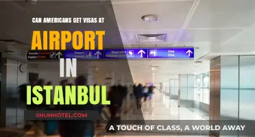 Istanbul Airport Visa Options for Americans