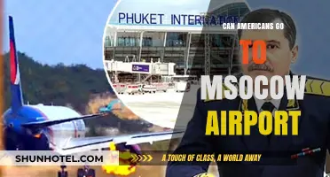 Americans in Moscow: Airport Access Explored