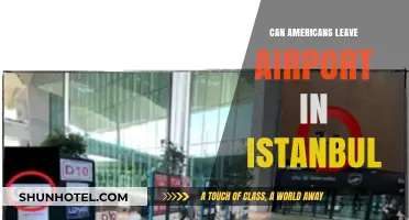 Americans Leaving Istanbul Airport: What You Need to Know