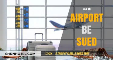 Airport Accountability: Can They Be Sued?