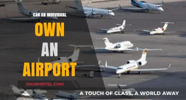 How to Own an Airport: An Individual's Guide