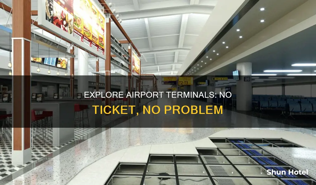 can an unticketed person visit a airport terminal