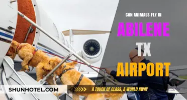 Abilene TX Airport: Can Animals Fly?