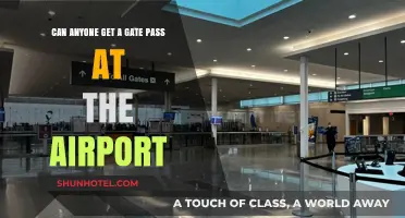 Who Can Get an Airport Gate Pass?