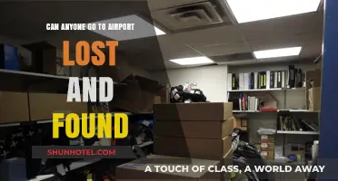 Exploring Airport Lost and Found: Who Can Access?