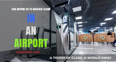 Who Can Access Airport Baggage Claim?
