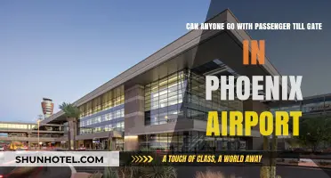 Who Can Accompany Passengers to the Gate at Phoenix Airport?