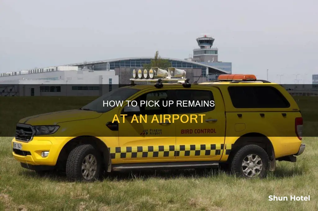 can anyone pick up remains at an airport