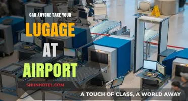 Be Wary: Airport Luggage Theft is Real