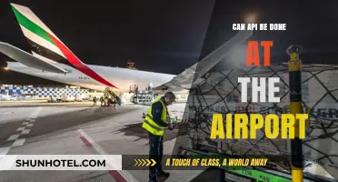 API at the Airport: Is It Possible?