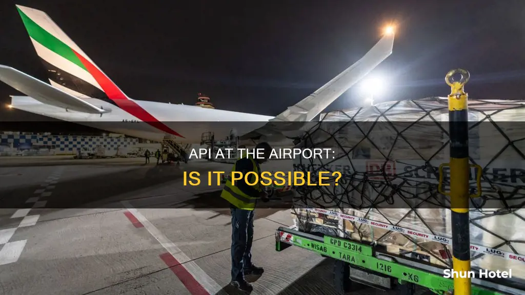 can api be done at the airport