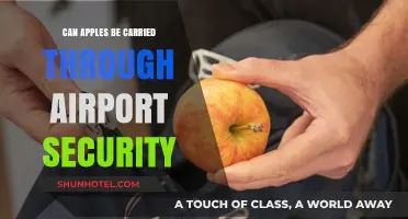 Airport Security and Apples: What You Need to Know