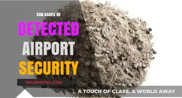 Airport Security and Ashes: What to Expect