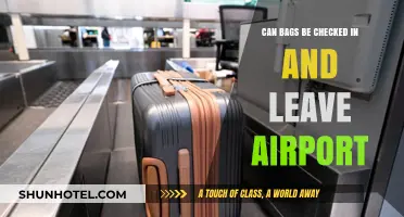 Checking Bags: Leaving Airports Hands-Free