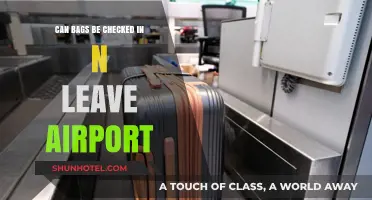 Checking Bags: Leaving the Airport Hands-Free