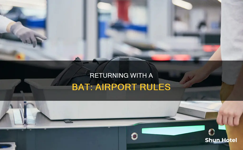 can bat be return in airport of any country