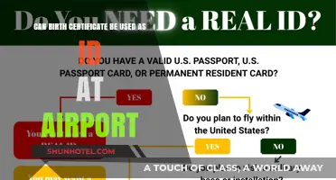 Using Birth Certificates as Airport Identification