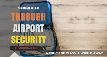Breast Milk and Airport Security: What's Allowed?