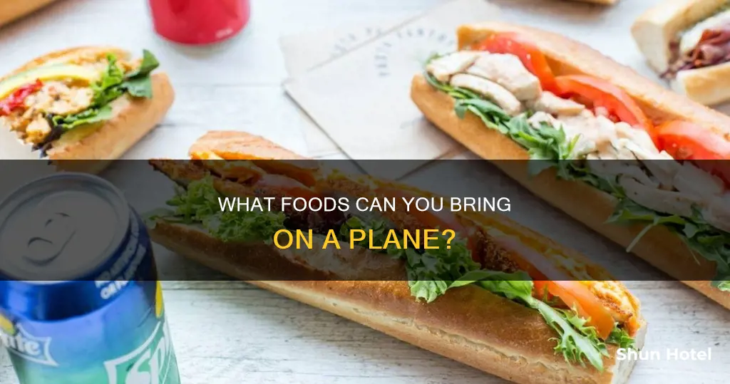 can bring food through airport security