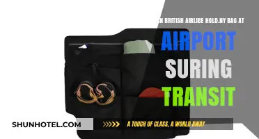 Holding Bags: British Airways' Transit Policy