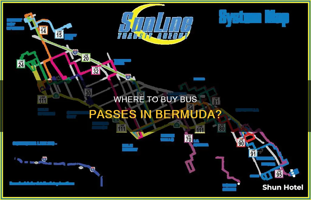 can bus pass be purchased at airport in bermuda