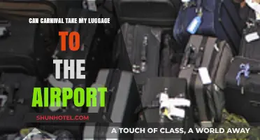 Carnival's Luggage Service: Airport Delivery