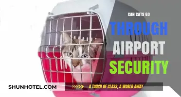 Airport Security: Can Cats Walk Through?