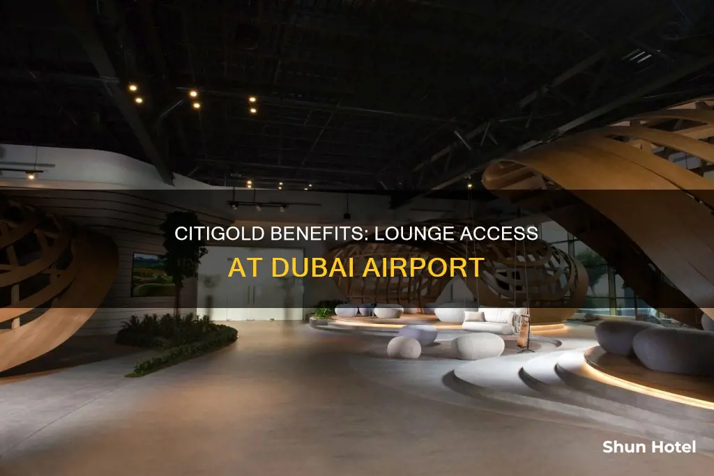 can citigold use lounge at dubai airport