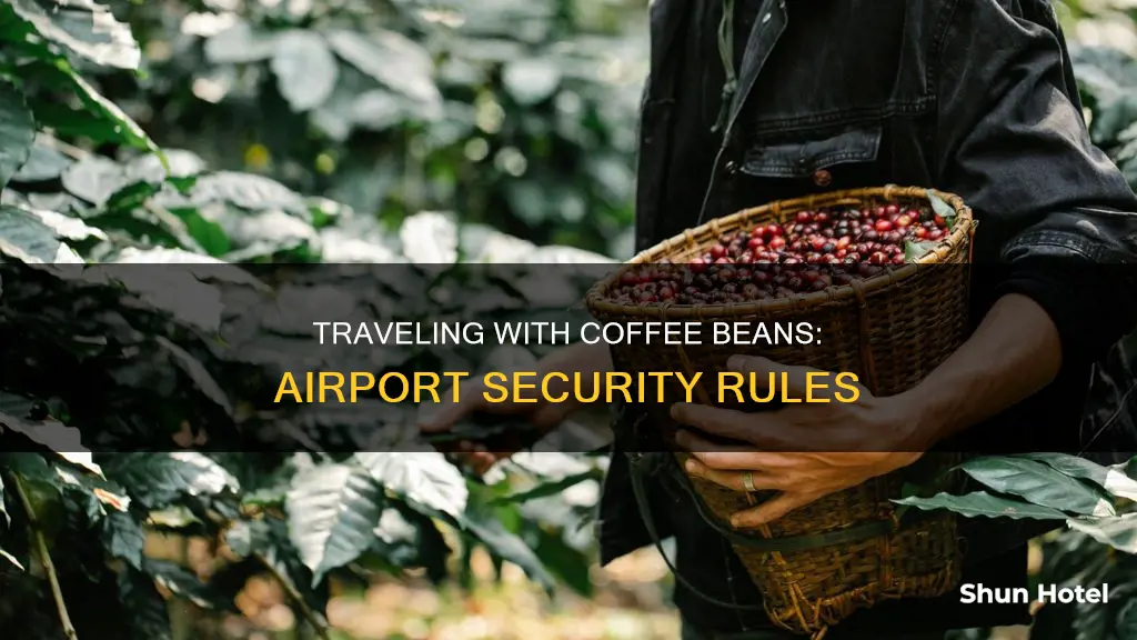 can coffee beans go through airport security