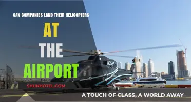 Helicopter Companies: Where and How to Land?