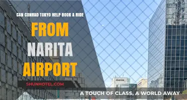 Conrad Tokyo: Airport Transfers and More