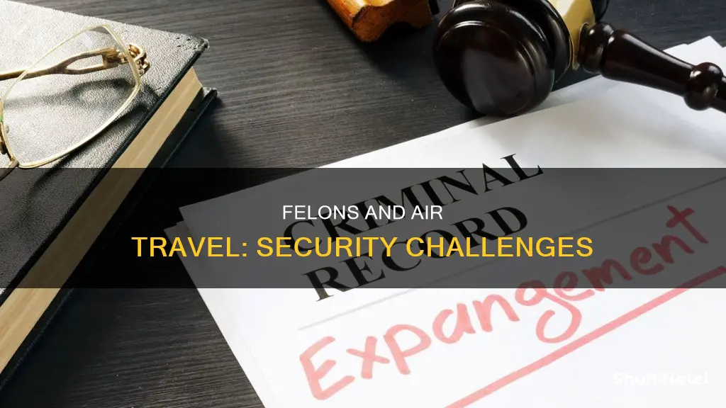 can convicted felons fly without problems from airport security