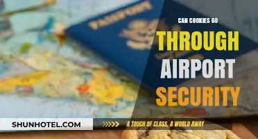 Traveling with Cookies: Airport Security Rules Explained