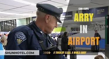 Airport Security: Can Cops Carry Guns?