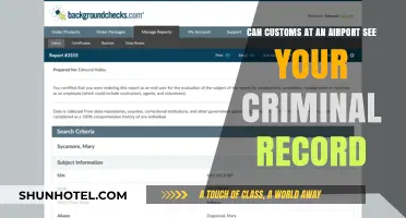 Airport Customs: Can They See Your Criminal Record?