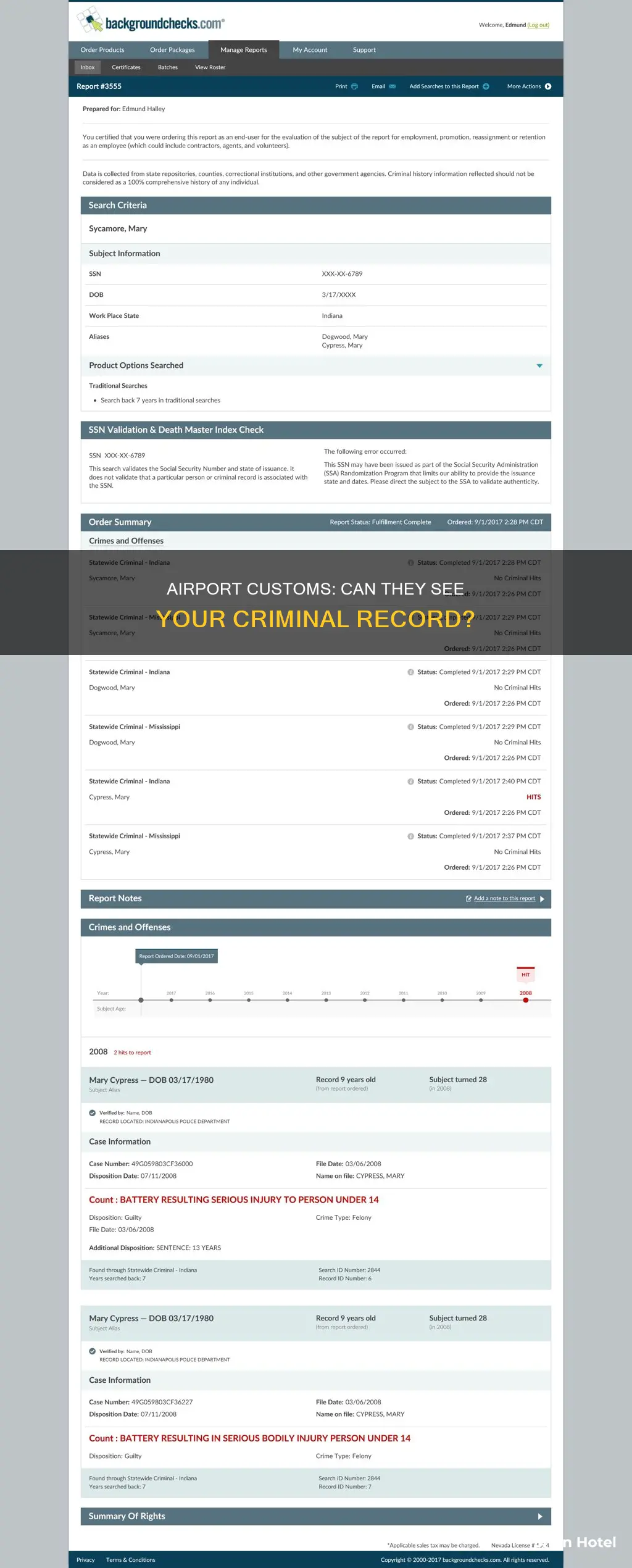can customs at an airport see your criminal record