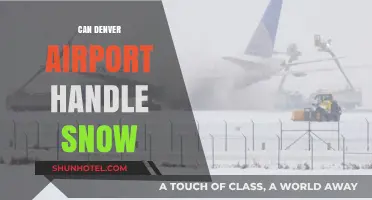 Denver Airport: Snow-Proof or Snowed Under?