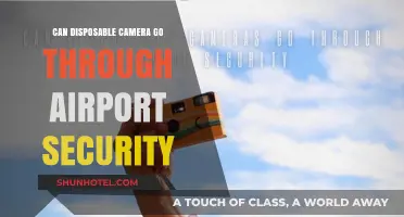 Disposable Cameras: Airport Security Clearance?