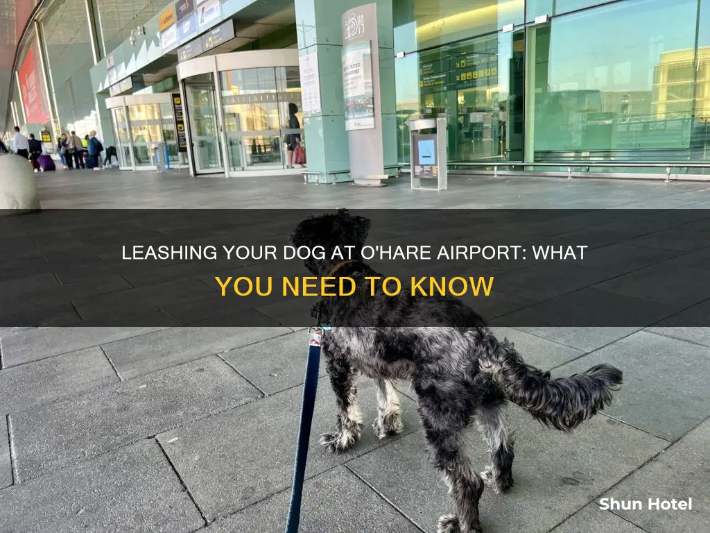 can dogs be on leash in o