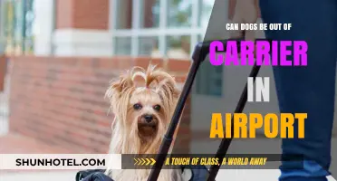 Airports and Dogs: In or Out of Carriers?