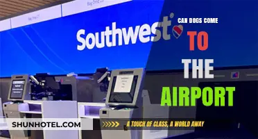 Airport Etiquette: Can Dogs Come Along?